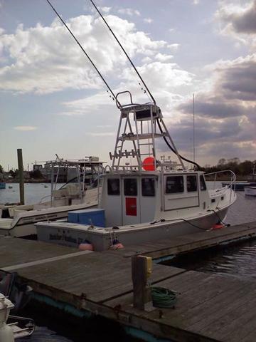 Boston Harbor Charters. Saltwater sport fishing